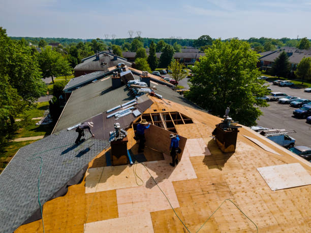 Roof Waterproofing Services in Marshall, AR